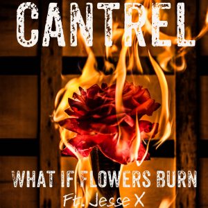 What if Flowers Burn by Cantrel Composer Neil Breytenbach